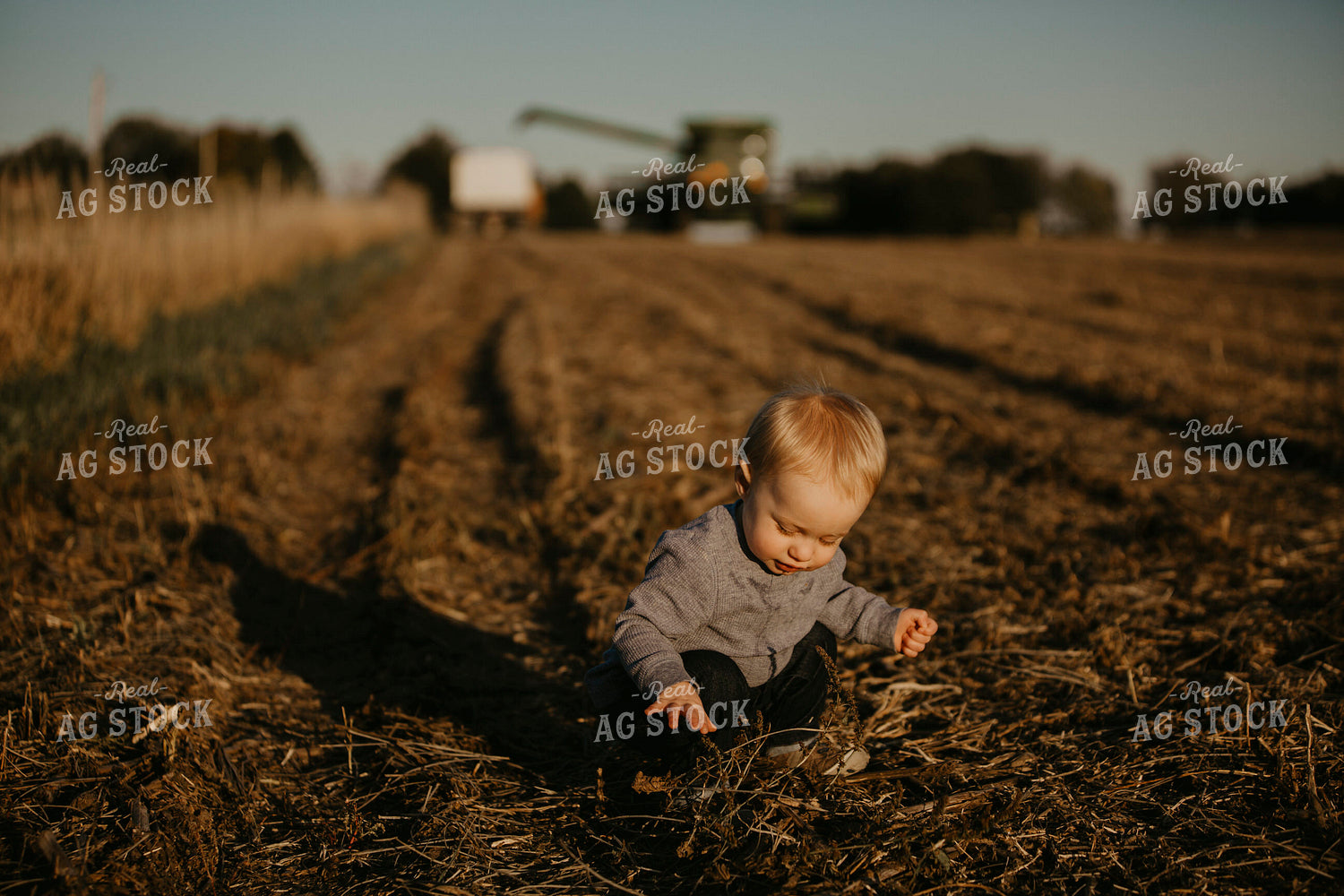 Harvest 2573