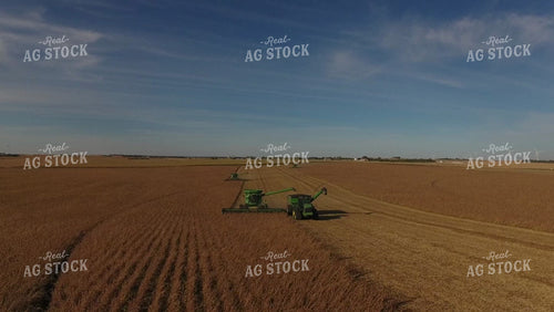 Soybean Harvest 77314