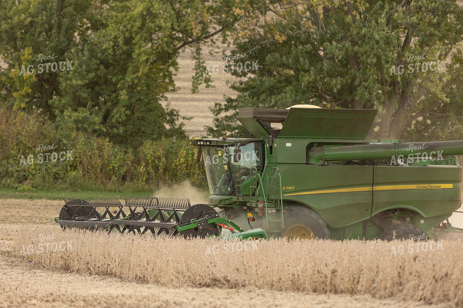 Soybean Harvest 215041