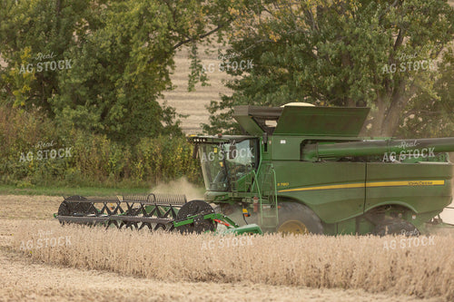 Soybean Harvest 215041