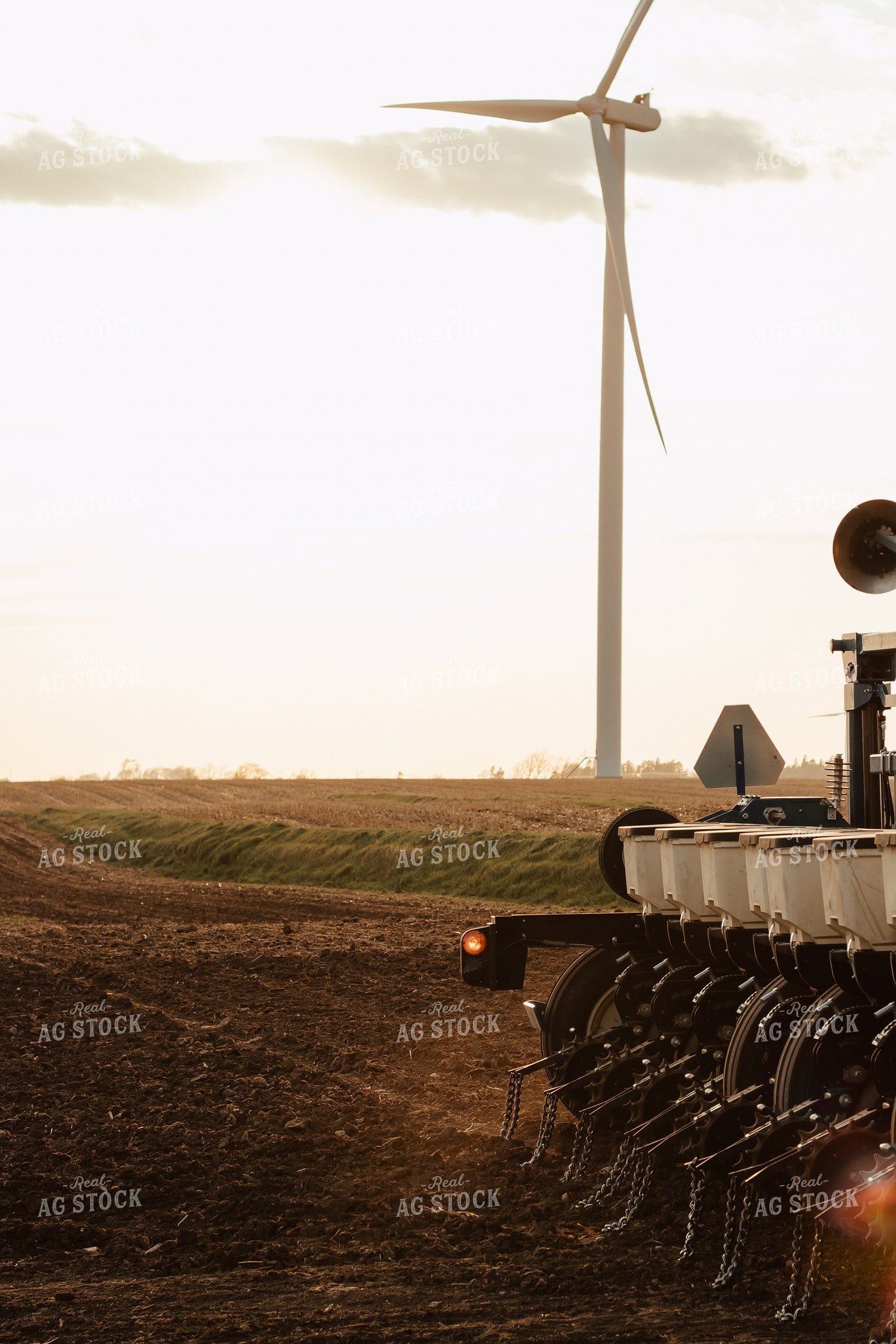 Planting 67861