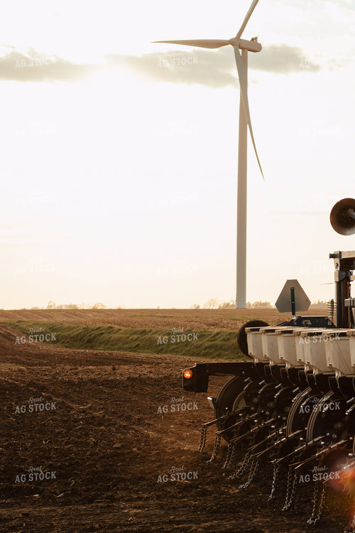 Planting 67861
