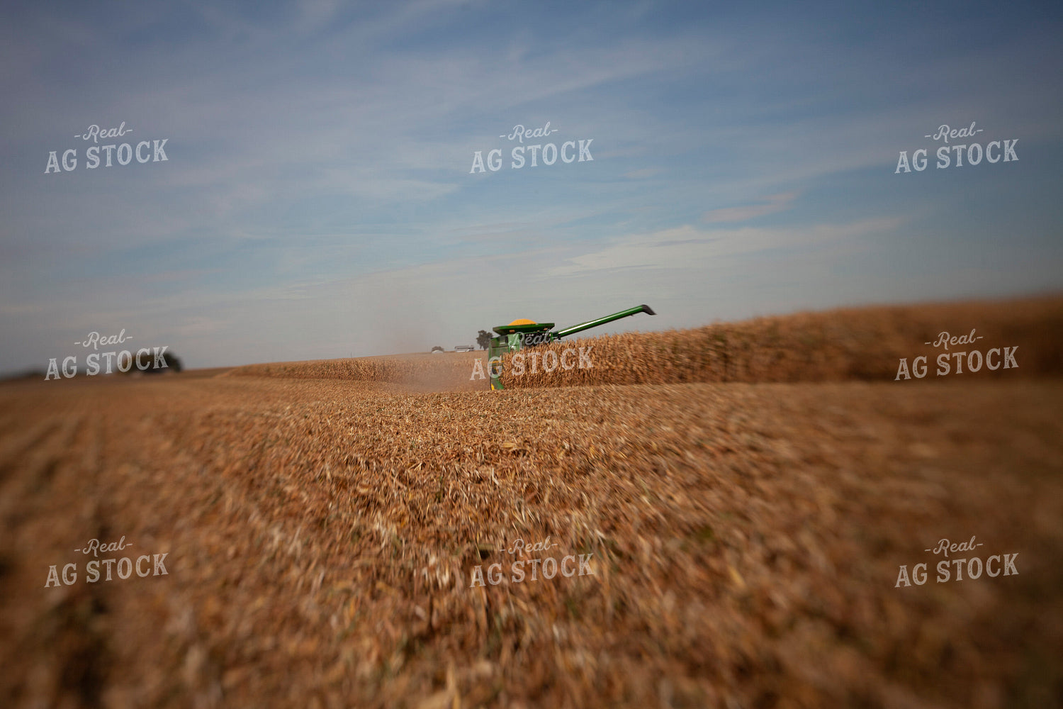 Harvest 1784
