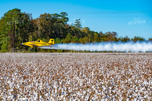 Crop Duster Spraying Cotton Field 136253