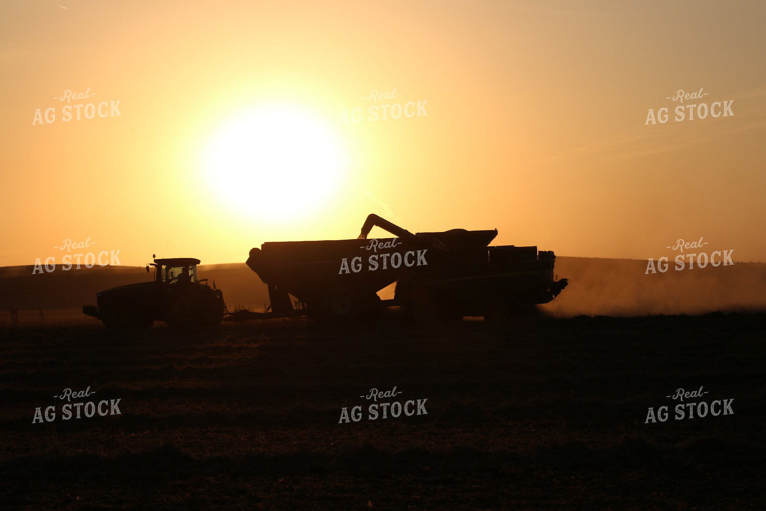 Grain Cart and Combine Silhouette 82009