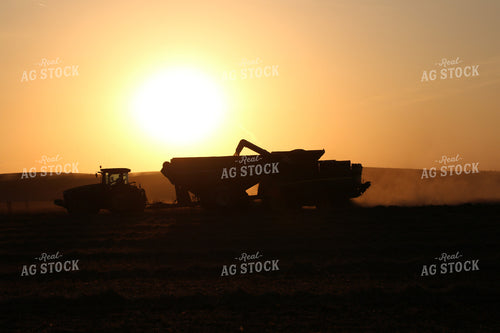 Grain Cart and Combine Silhouette 82009