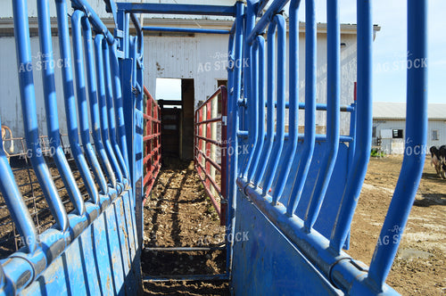 Cattle Chute 206011