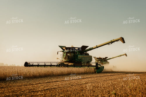 Soybean Harvest 9232