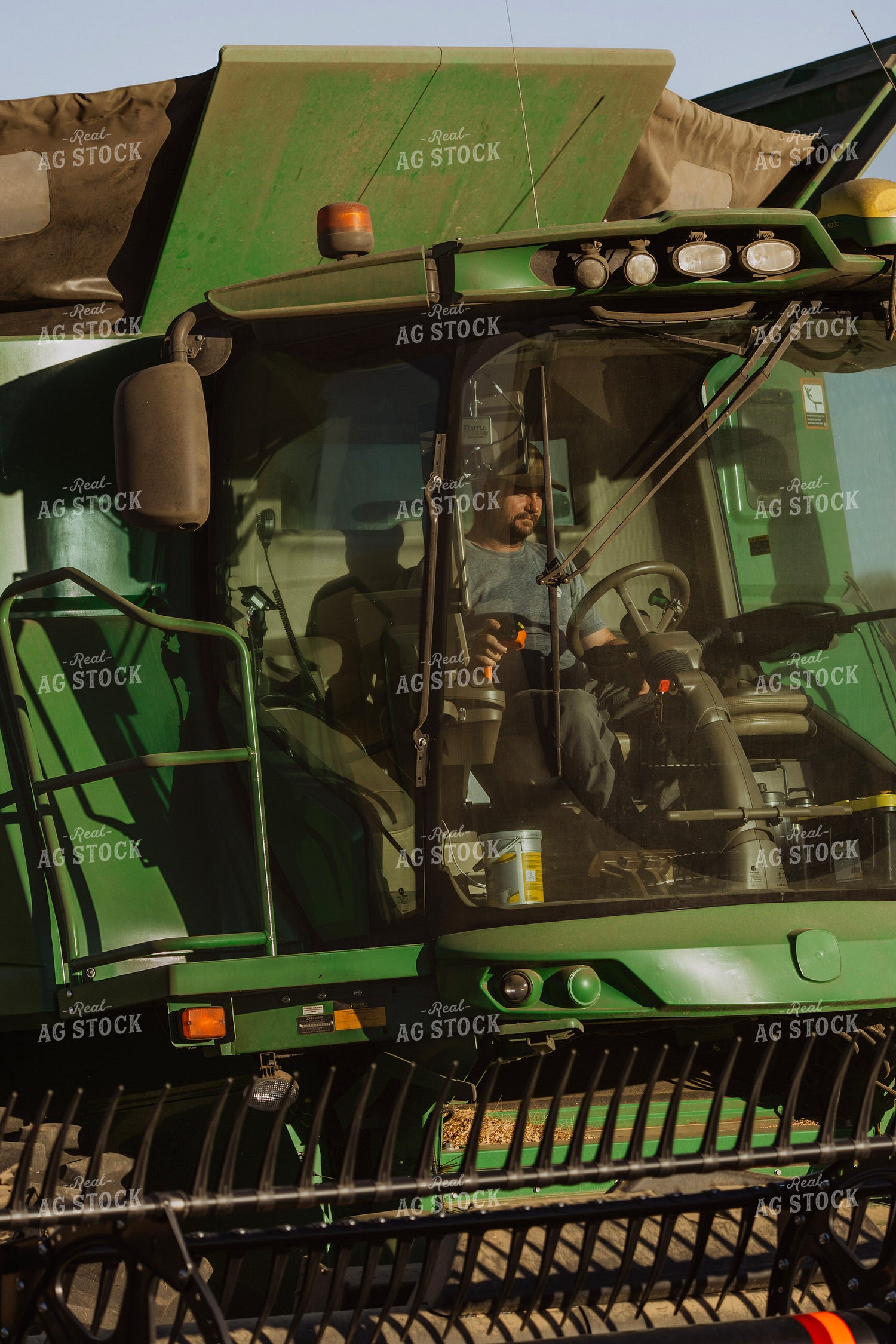 Wheat Harvest 187329