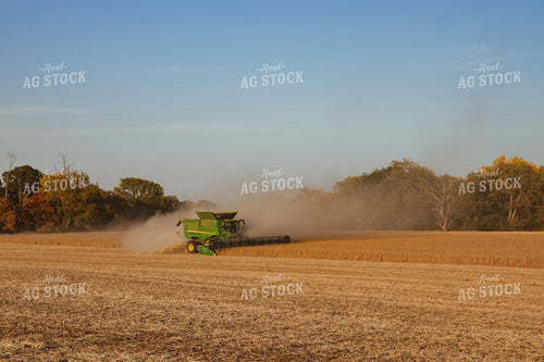 Soybean Harvest 67282