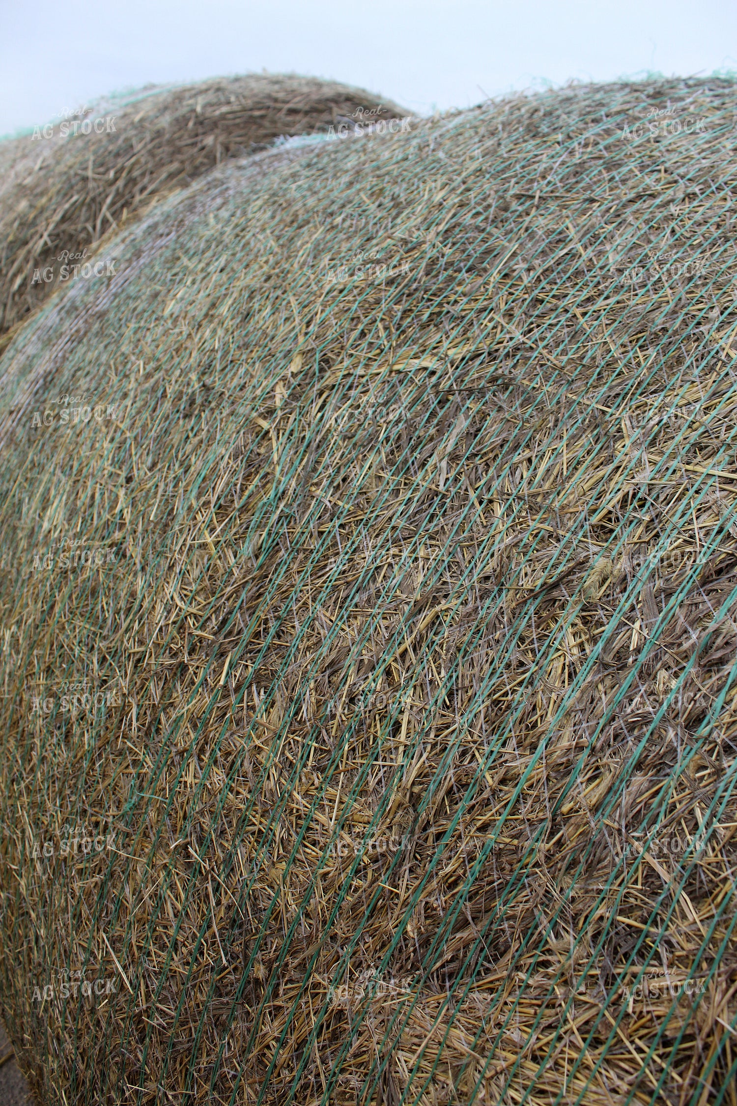 Hay Bales 141067