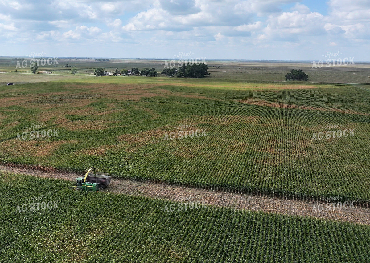 Aerial of Cutting Corn Silage 141735