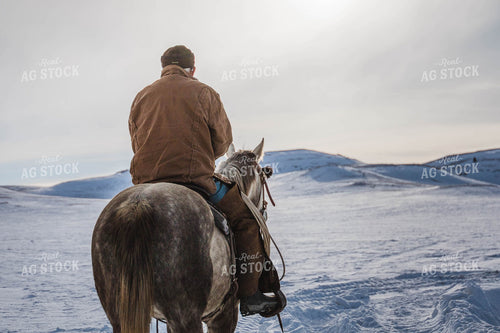 Rancher on Horseback 97125