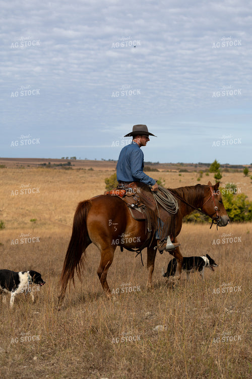 Rancher on Horseback 71021