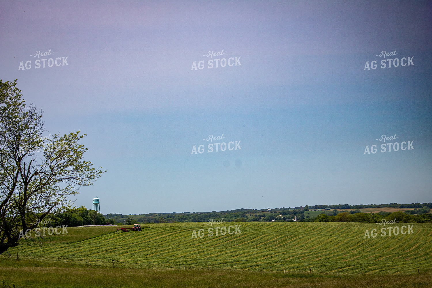 Cutting Hay 214143
