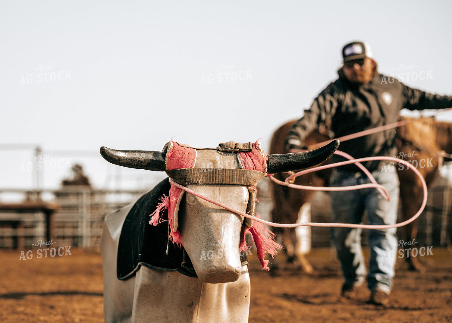 Roping 171031