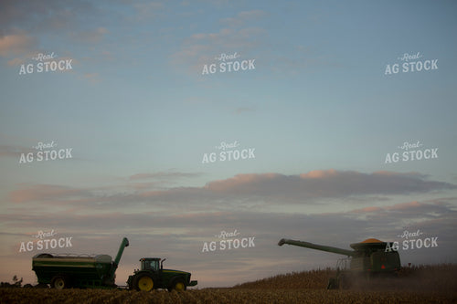 Harvest 1737
