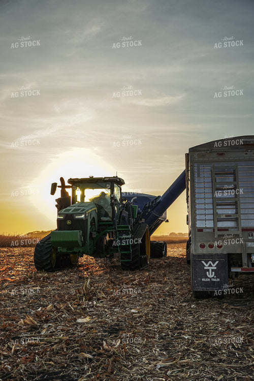 Corn Harvest 273001