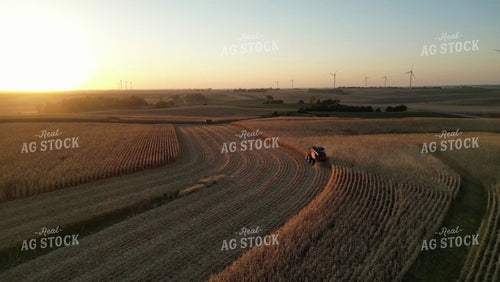 Aerial of Corn Harvest 268048