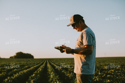 Farmer in Soybean Field with Tablet 6147