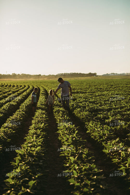 Farm Family Walking in Soybeans 6070