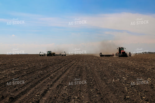 Planting and Rolling 204000