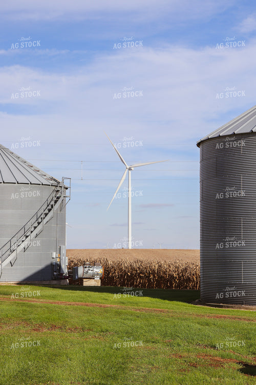Grain Bins with Dried Corn Field and Windmill 67013