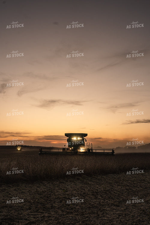 Harvest 196039