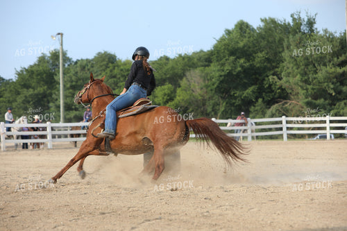 Equestrian Riding Horse 160051