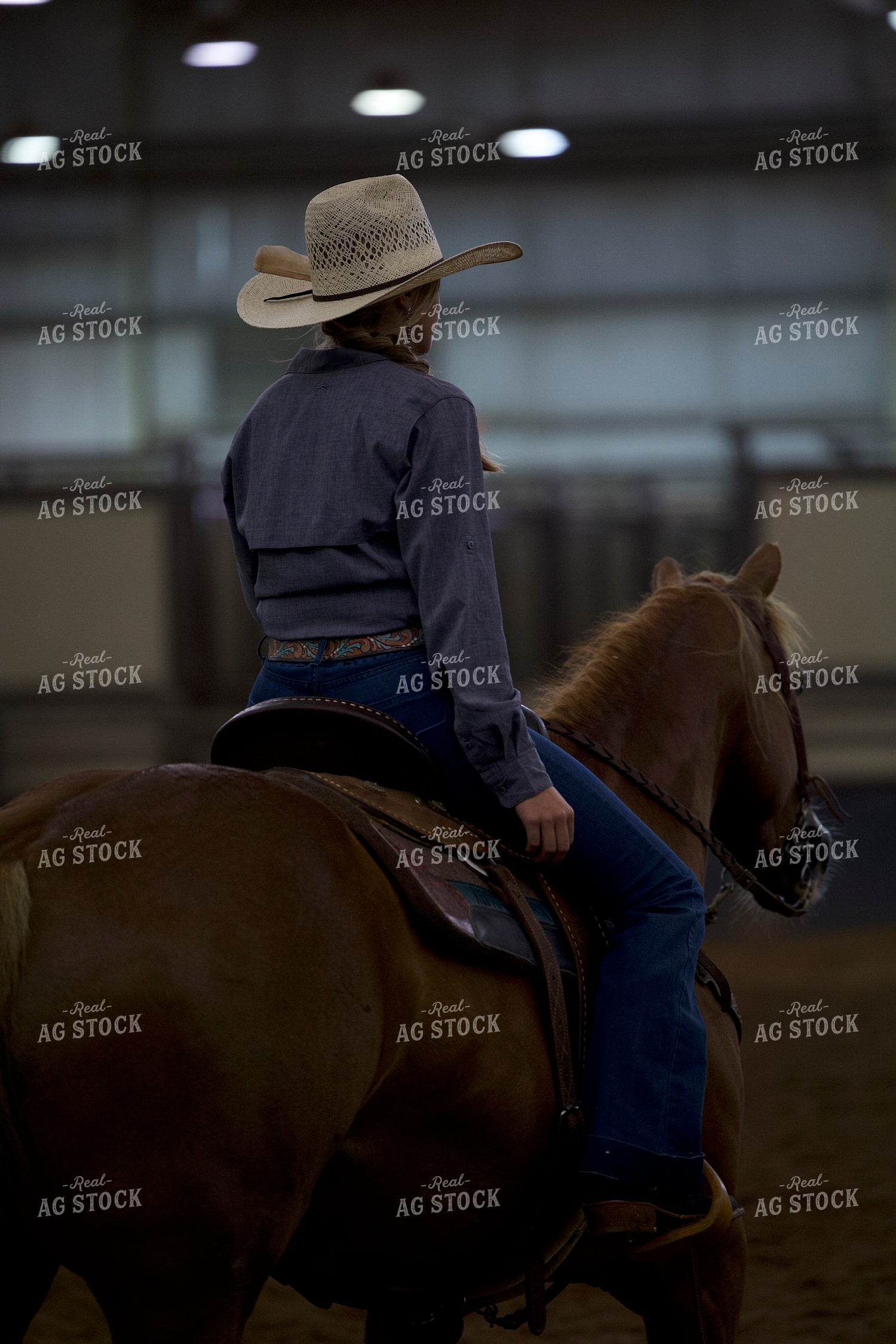 Female on Horseback 205060
