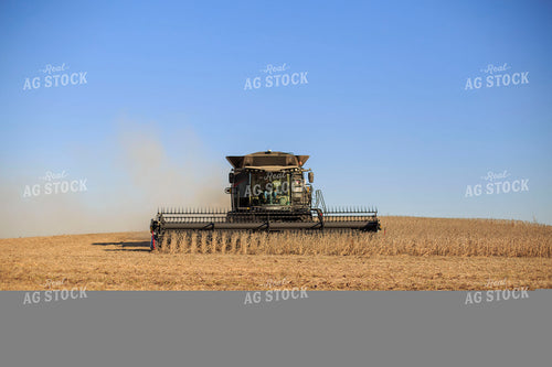 Soybean Harvest 93080