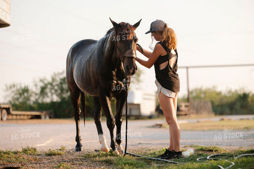 Washing Horse 205099
