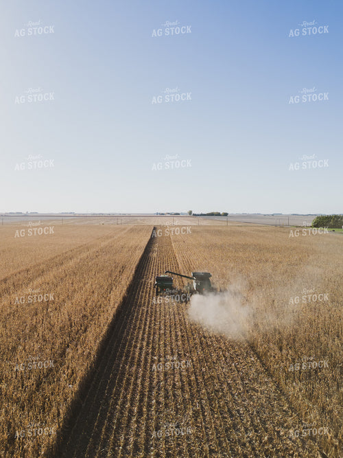 Aerial of Corn Harvest 67524