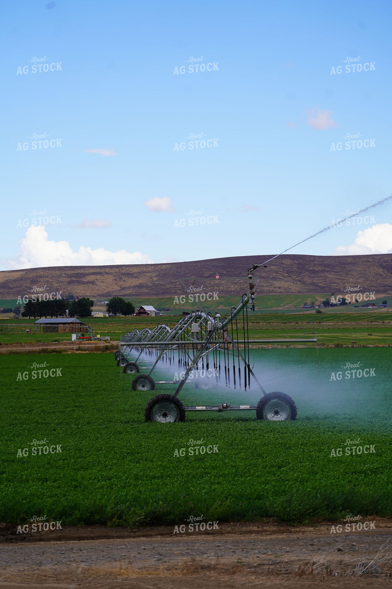Pivot Irrigation System 235004