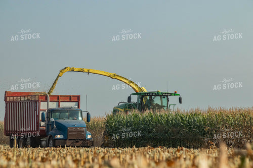 Silage Harvest 72104