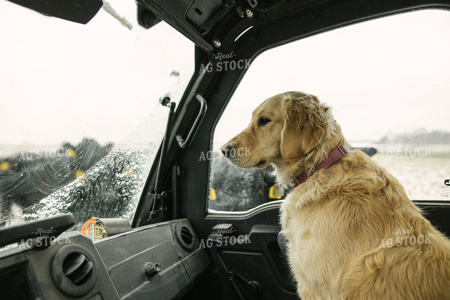 Ranch Dog in UTV Chores 70091