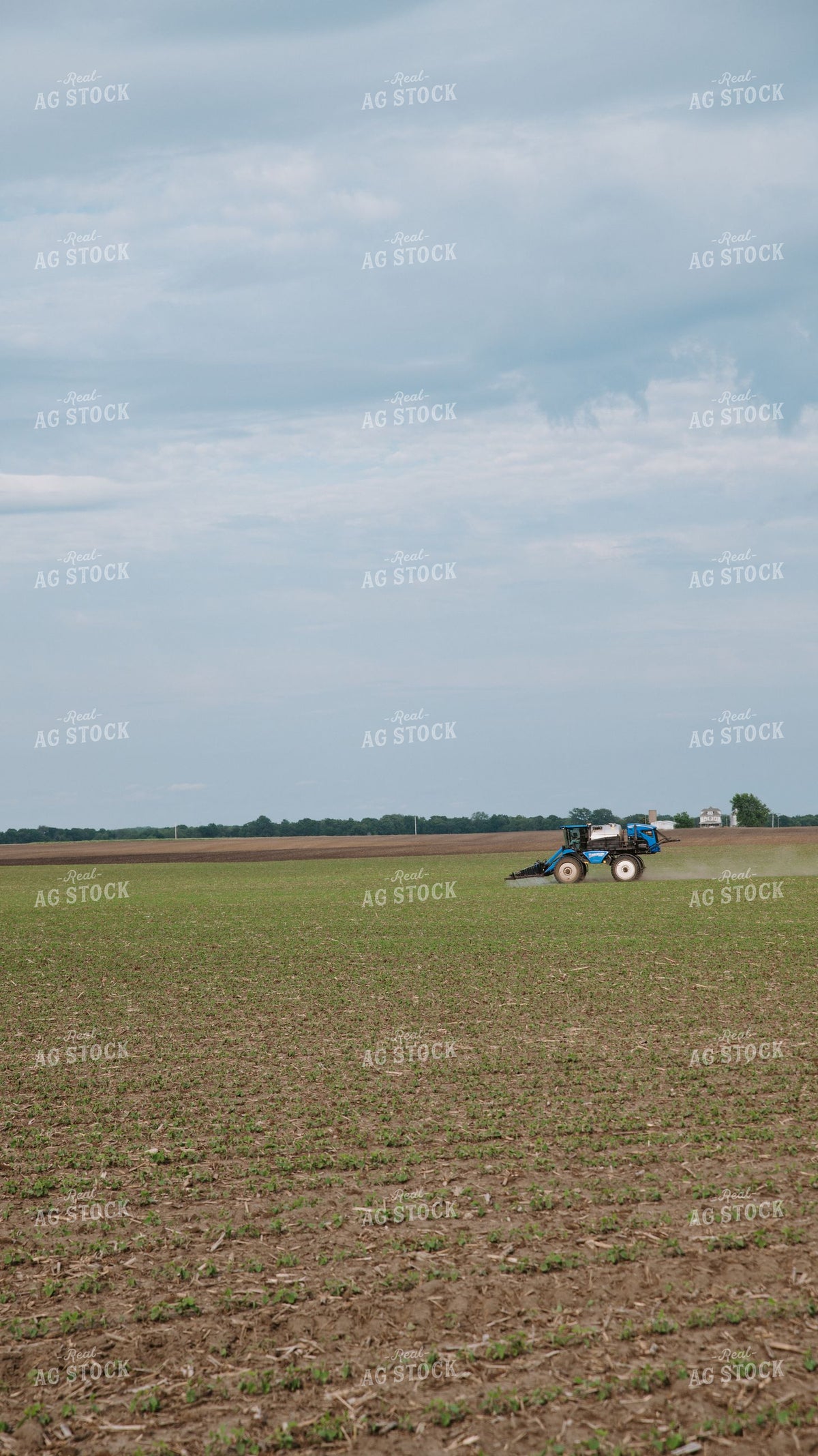 Self-Propelled Sprayer Applying Crop Protection to Early-Season Field 401026
