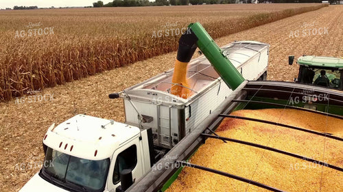 Corn Harvest 287037