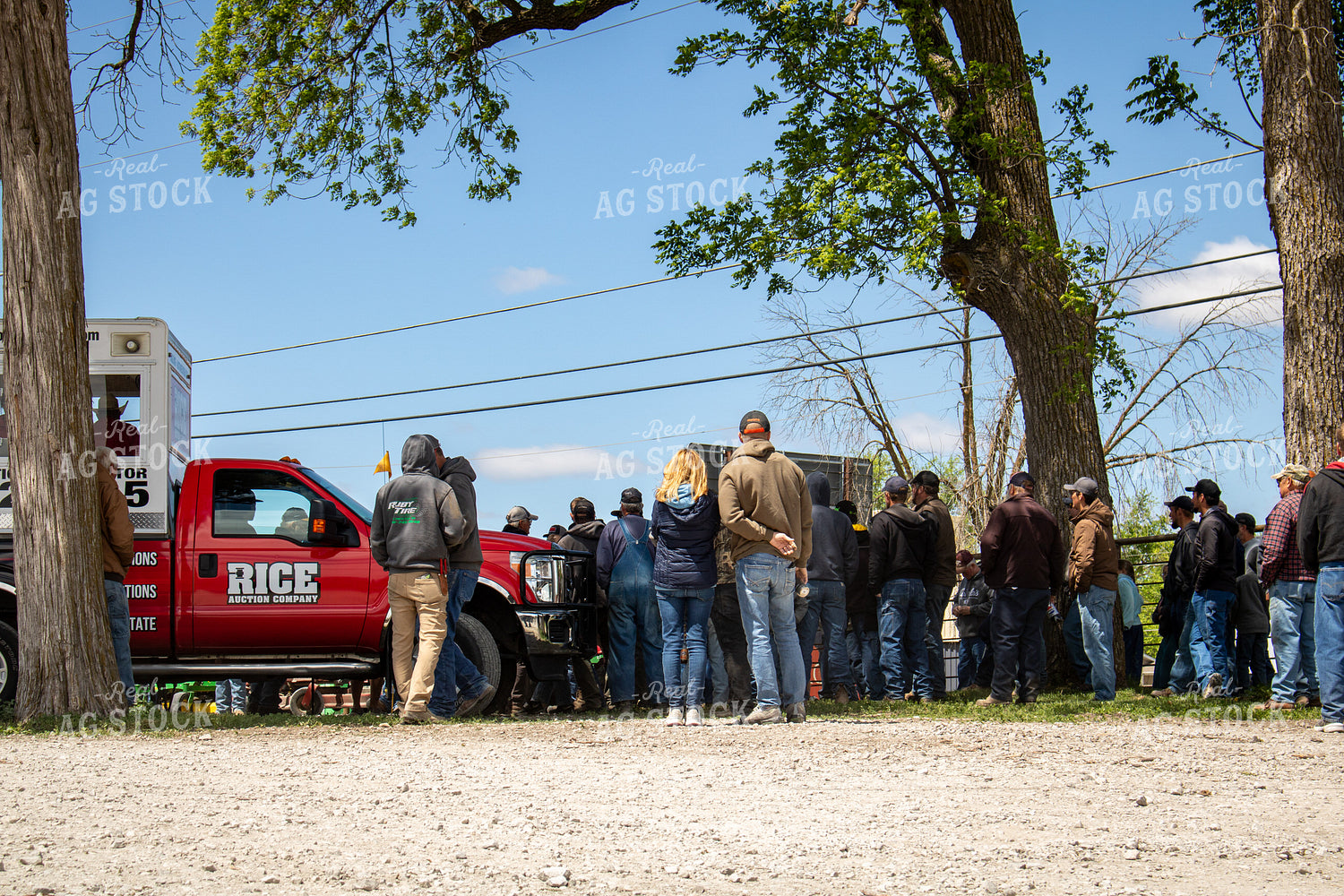 Famers at an Auction Sale 214129