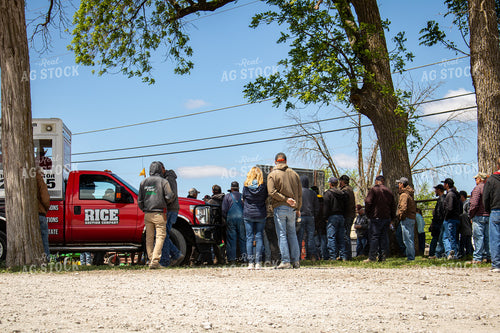 Famers at an Auction Sale 214129