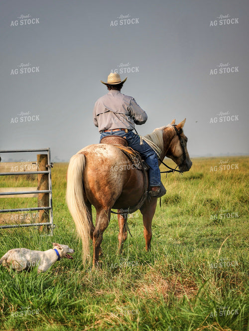 Rancher on Horseback 210004