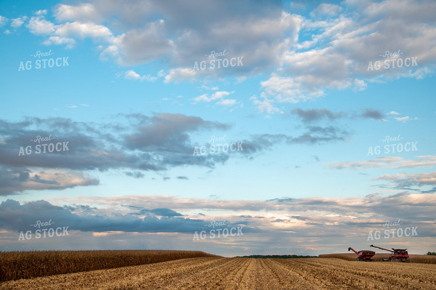 Combine Unloading Corn into Auger Wagon on the Go 25582