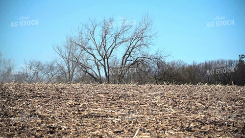 Planting on Hilly Ground - 336