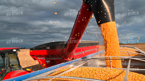 Grain Cart Unloading into Semi 25637