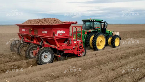 Potato Harvest 146030
