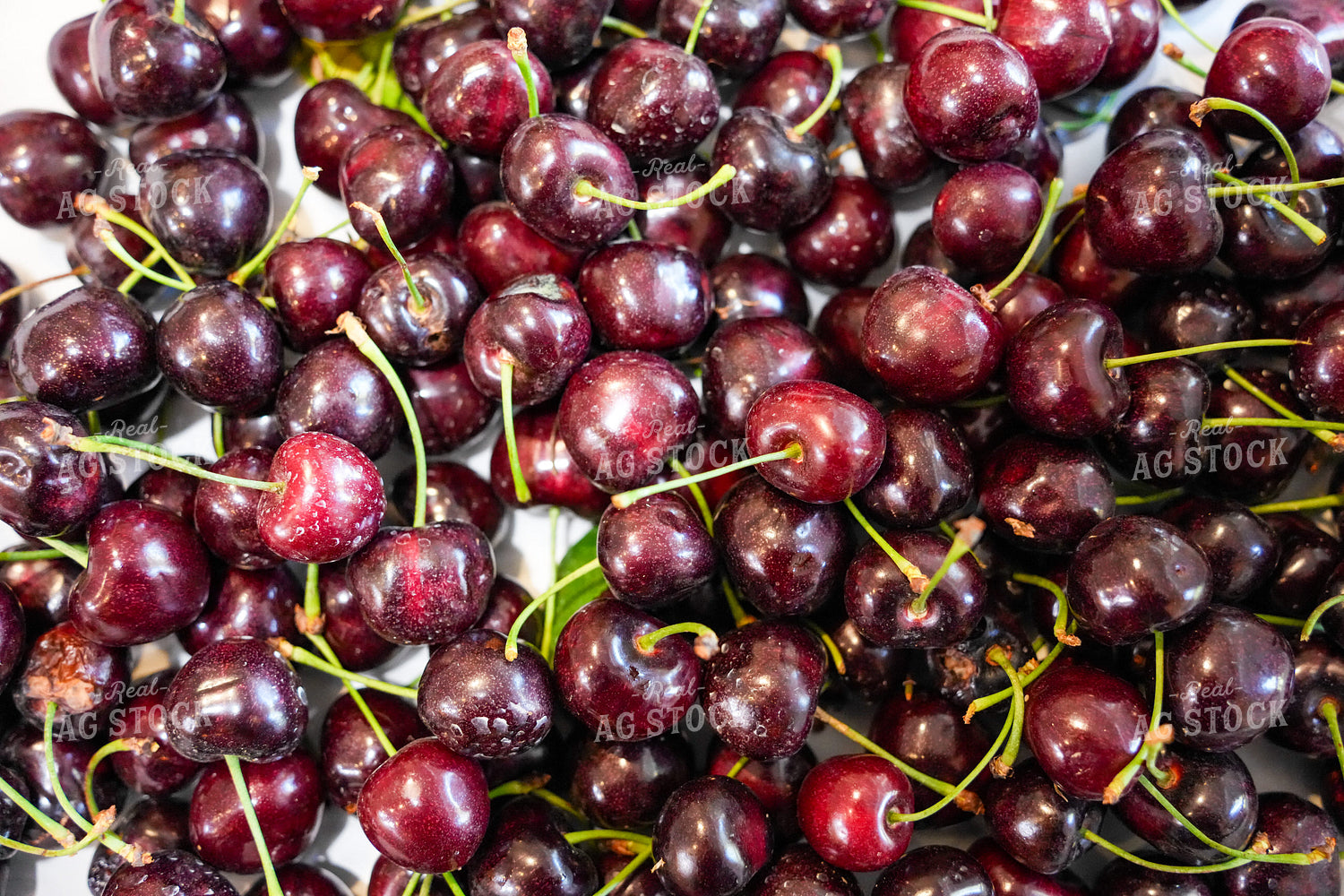 Cherries 65820