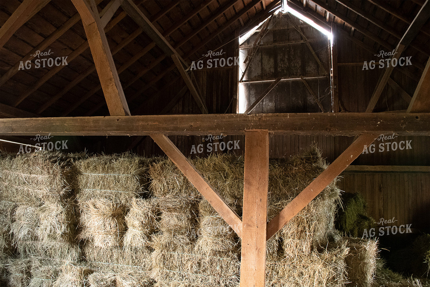 Hay or Straw in Barn Loft 50133