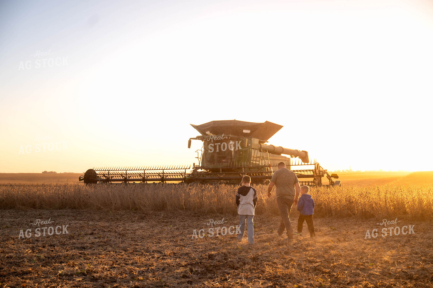 Farm Family by Combine 115603