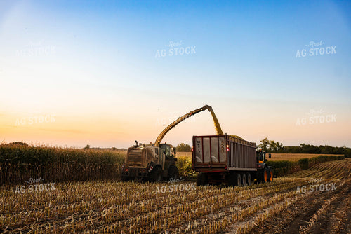 Silage Harvest 152305