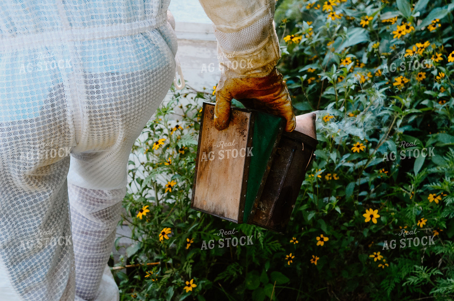 Beekeeper Handling honey bees 125035
